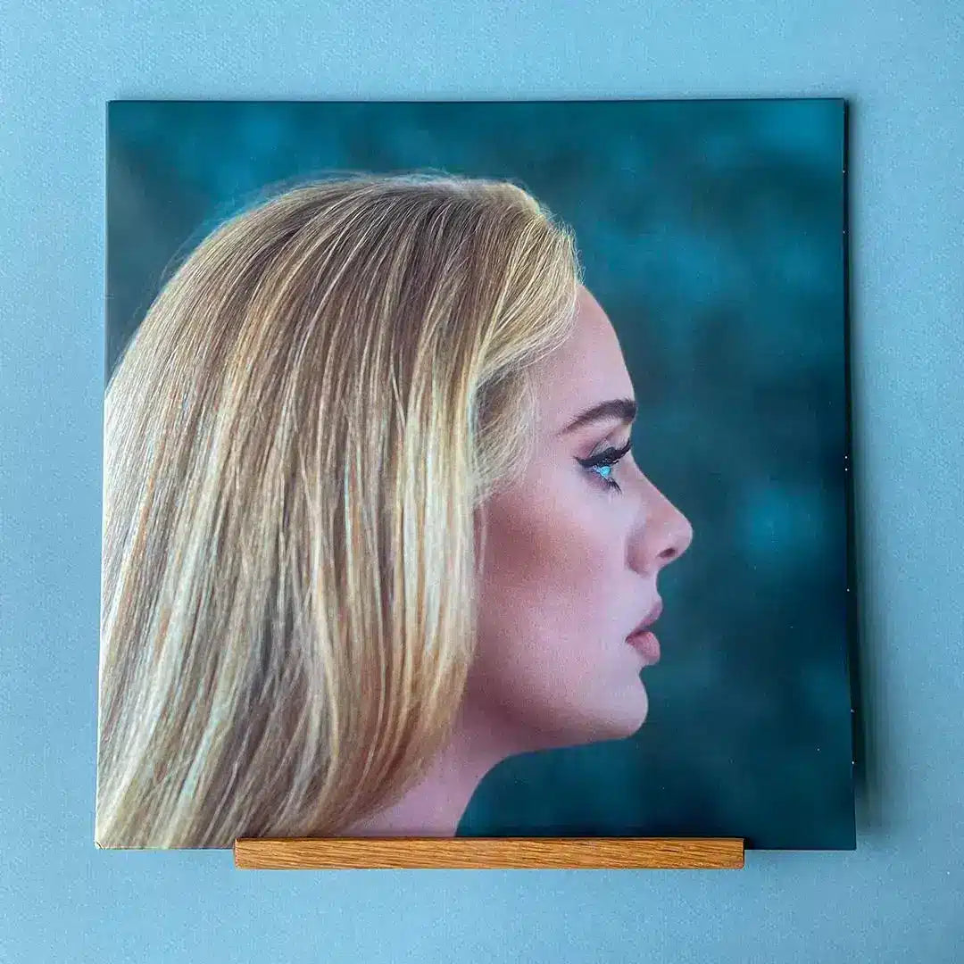 Rangement vinyles